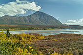 Susitna river. Denali Highway: Paxson to Cantwell, Alaska