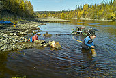 Individual gold prospecting with modern means on the Fortymile river, Taylor highway, from Tetlin junction to Eagle city in autumn, Alaska
