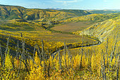 Taylor highway, from Tetlin junction to Eagle city in autumn, Alaska
