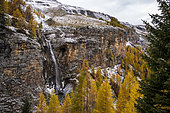 Cascade des Barres de Roya and autumn color of the larch forest of the Maïris valley, Tinée valley, Roya, Mercantour National Park, Alpes-Maritimes, France