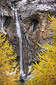Cascade des Barres de Roya et couleur d'automne du mélèze, Roya, vallée de la Tinée, Parc National du Mercantour, Alpes-Maritimes, France