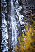 Cascade des Barres de Roya et couleur d'automne du mélèze, Roya, vallée de la Tinée, Parc National du Mercantour, Alpes-Maritimes, France