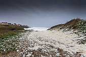 Sea foam on the beach of Noirda during the storm Ciara, Audreselles, Pas de Calais, Hauts de France, France