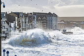 Waves hitting the Wimereux embankment during the Ciara storm, February 2020, Hauts de France, France