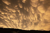 Mammatus at sunset on the Chablais massif. At the end of the storm, on August 1, 2018, hydrometores form on the side of a cumulonimbus, and are visible in a large part of the department 74, as well as the Lake Geneva region, Haute-Savoie, France