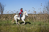 Léa, 8, rides her mare called Brume along the canals, Saintes-maries-de-la-mer, Camargue, France