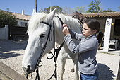 Léa, 8, takes care of removing the bridle on her mare called Brume after a ride, Saintes-maries-de-la-mer, Camargue, France