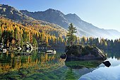 Lärchenwald, Larch Forest reflected in the Lago di Saoseo Lake, Val di Campo, Canton of Grisons, Switzerland, Europe