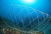 Abandoned net on the seabed, off Calella de Palafrugell, Costa Brava, Spain.