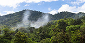 Panoramic view of the El Triunfo Biosphere Reserve, Chiapas, Mexico