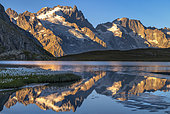 La Meije reflecting in Lac de Goléon, Ecrins National Park, north of La Grave, Alps, France