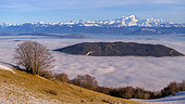 Sea of cloud between the Jura and the Northern Alps, in the foreground, the Mont des Princes anticline, in the background, the Mont Blanc massif, seen from the Grand Colombier massif, Bugey, Ain, France
