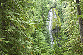 Proxy Falls, Willamette National Forest, Oregon, USA
