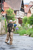 Fly fishing on the Weiss river, Capture of a brown trout (Salmo trutta fario), Kaysersberg, Haut-Rhin, Alsace, France