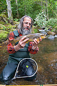 Fly fishing, Presentation of a large brown trout (Salmo trutta fario), Doller Valley, Haut-Rhin, Alsace, France