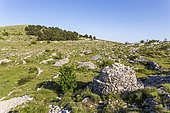 Enclosure, terraces and borie of the Col du Clapier or the Dead Woman, Caussols, Préalpes d'Azur Regional Natural Park, Alpes-Maritimes, France