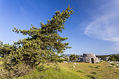 Two-storey borie on the Caussols plateau, Préalpes d'Azur Regional Natural Park, Alpes-Maritimes, France