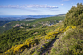 Gourdon, labeled The Most Beautiful Villages of France, the coast of the Côte d'Azur in the background, Préalpes d'Azur Regional Natural Park, Alpes-Maritimes, France