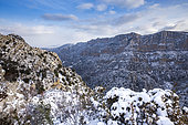 Grand Canyon du Verdon vue depuis la rive gauche, parc naturel régional du Verdon, Var, France