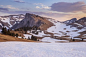 Le Pas des Bachassons, Trièves, Hauts Plateaux du Vercors national nature reserve, Vercors regional natural park, Isère, France