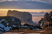 Mont Aiguille (2086m), Trièves, Hauts Plateaux du Vercors national nature reserve, Vercors regional natural park, Isère, France