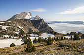 Le Grand Veymont (2341m), Le Trièves, Hauts Plateaux du Vercors national nature reserve, Vercors regional natural park, Isère, France