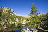 Le lac Vert de Fontanalba (2145m), vallon de Fontanalba où ont été répétorièes des milliers de gravures protohistoriques, Roya et Bevera, Casterino, Parc National du Mercantour, Alpes-Maritimes, France