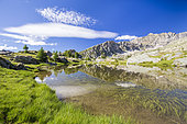 The Jumeaux lakes (2230m), in the background Mont Bégo (2872m), Fontanalba valley where thousands of protohistoric engravings have been repeated, Roya and Bevera, Casterino, Mercantour National Park, Alpes-Maritimes, France