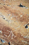 Corniform figures called "team of two cattle" engraved on the rock called the "Sacred Way", Fontanalba valley where thousands of protohistoric engravings were repeated, Roya and Bevera, Casterino, Mercantour National Park, Alpes-Maritimes, France