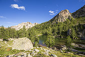 Fontanalba Green Lake (2145m), Fontanalba valley where thousands of protohistoric engravings have been listed, Roya and Bevera, Casterino, Mercantour National Park, Alpes-Maritimes, France