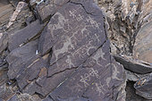 Valley of rock carvings, rocks with rock carvings, dated between - 8000 and - 3000 years old, Altai mountains, West Mongolia, Mongolia