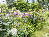 Allium aflatunense, Euphorbia characias ssp wulfenii 'John Tomlinson', Rosa rugosa 'Exception', Rosa 'Opalia', Parc floral Vincennes, Paris, France