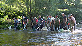 Electric inventory fishing, Fish inventory campaign orchestrated by the Doubs fishing federation, Doubs River, Doubs, Franche Comté, France