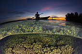 Coral Reef at Sunset, New Ireland, Papua New Guinea