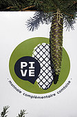 Panel, Spruce cone, Pive in Comtois, Pive, complementary Comtoise currency, Franche Comte currency