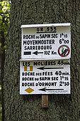 Signs on a tree, Roche des Fees, Molieres, signposted hiking trails, forest, Pepiniere du Paradis, Ormont massif, Nayemont-les-Fosses, Vosges, France