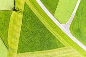 Cultural landscape, triangle in partially mowed meadow and road crossing from above, near Hopferau, drone photograph, East Allgäu, Allgäu, Swabia, Bavaria, Germany, Europe