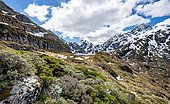View of Lake Harris, Conical Hill, Routeburn Track, Mount Aspiring National Park, Westland District, West Coast, South Island, New Zealand, Oceania
