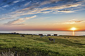 Hamlet of Strouanne at sunset, Pas de Calais, France