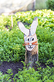 Decorative rabbit in a vegetable garden in springtime, Pas de Calais, France
