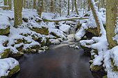 Winter landscape at Hammerbach, long-term exposure, Sumava National Park, Bohemian Forest, Czech Republic, Europe