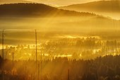 Morning fog in Sumava National Park in Czech Republic, Sumava, view from Siebensteinkopf, near Finsterau, Bavarian Forest, Lower Bavaria, Bavaria, Germany, Europe