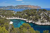 Calanque de Port Pin in front of Soubeyranes cliffs, Cassis, Calanques National Park, Provence, France, Europe