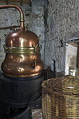 Still for the traditional distillation of kirsch, carboy, Ecomuseum of the Cherry Country, Fougerolles Saint Valbert, Haute Saone, France