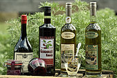 Bottles, Kirsch de Fougerolles AOC, absinthe, Morello cherry, Guignolet kirsch, Secret garden of the Green Fairy, Paul Devoille distillery, Fougerolles Saint Valbert, Haute Saone, France