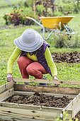Woman setting up a prefabricated wooden kitchen garden square