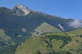 Natural vegetal heart of Osse in the Aspe valley, dominated by the summit of the Oelharisse, Pyrenees, France