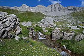 Creek and hut of Val d'Azun, Aspe Valley, Pyrenees, France