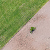 Agricultural landscape, La Rioja, Spain, Europe