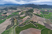 Agricultural landscape, La Rioja, Spain, Europe